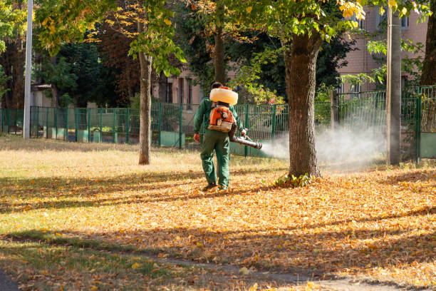 Best Mosquito Control Services  in Moenkopi, AZ